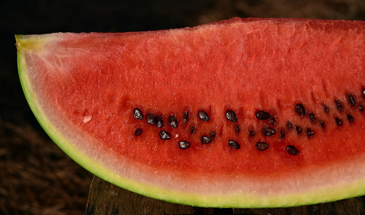 melon  watermelon  fruit free photo