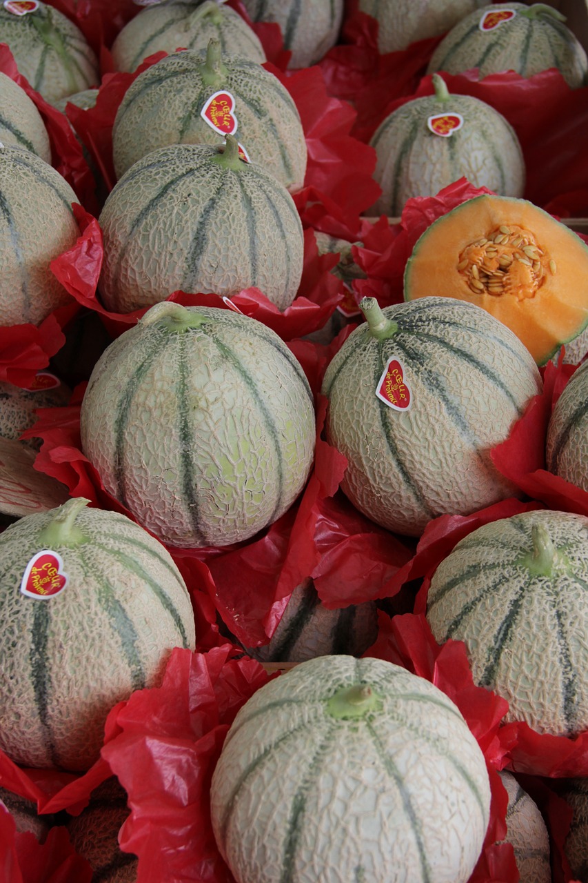 melon market summer free photo