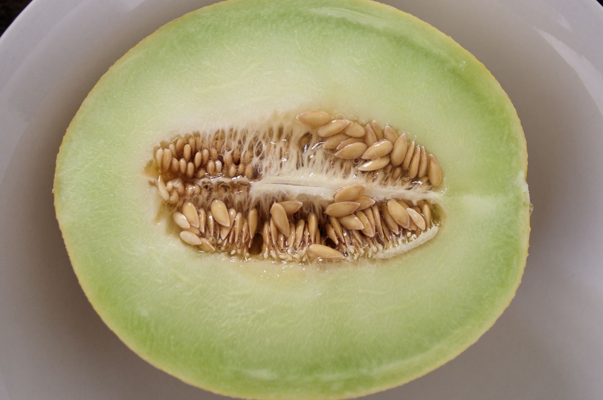 melon cantaloupe fruit free photo