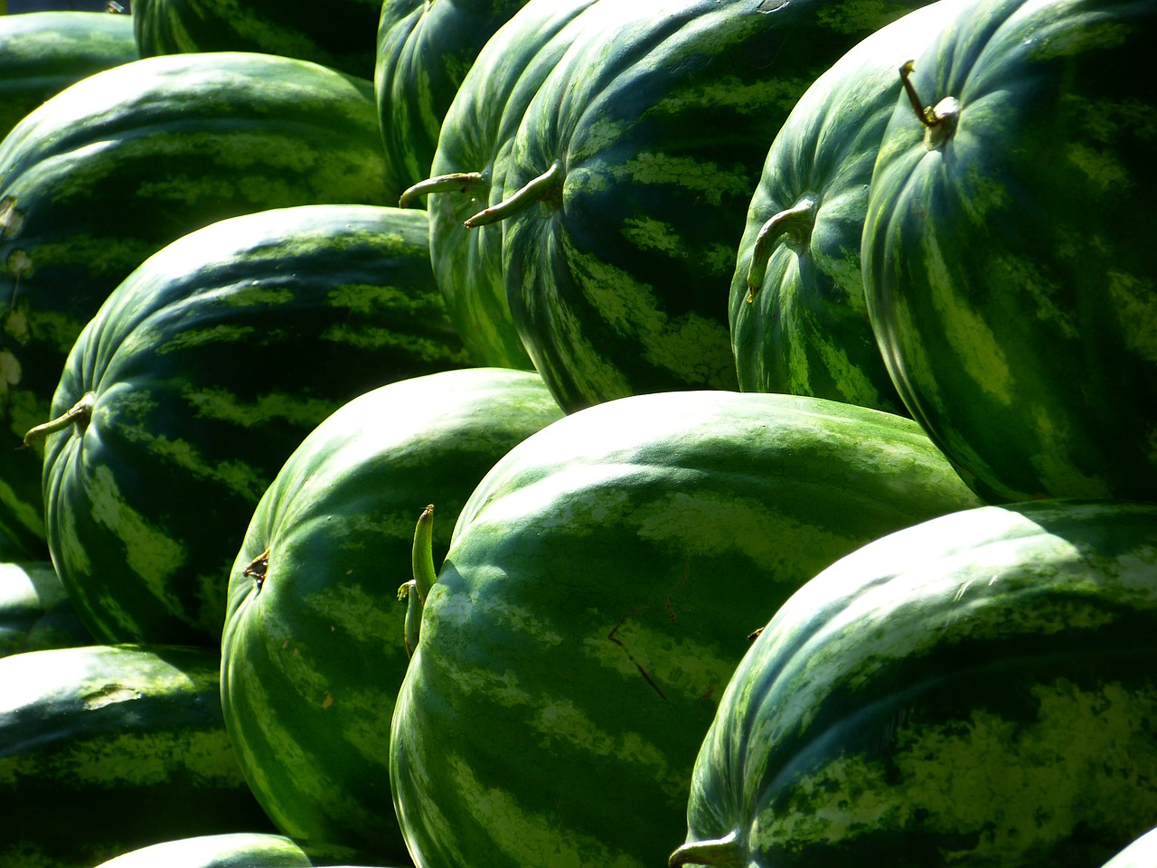 melons water melons fruit free photo