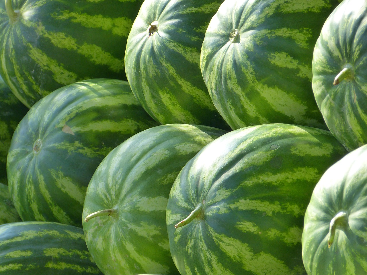 melons water melons fruit free photo