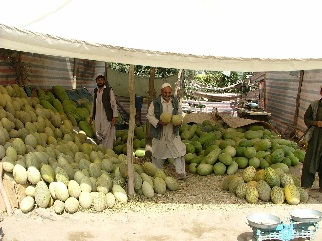 melons market stall kabul free photo