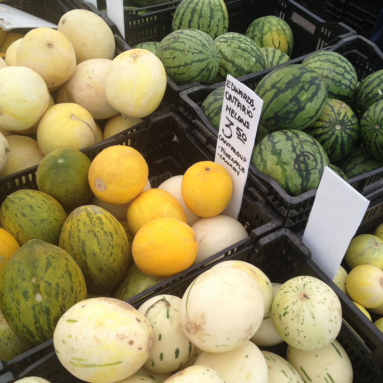 melons watermelons fruit free photo