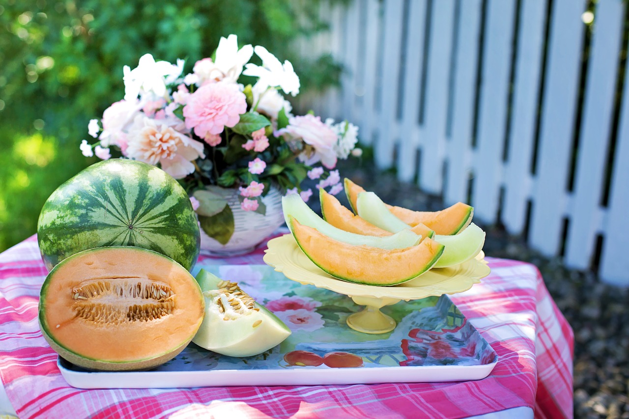 melons cantaloupe watermelon free photo