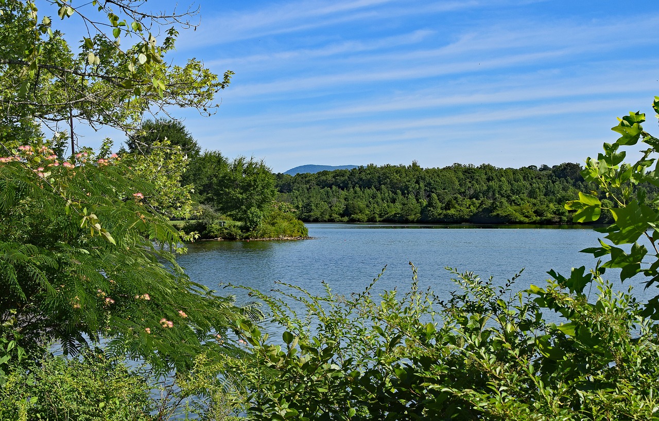 melton lake clinch river tennessee free photo