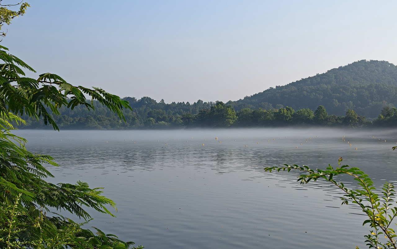 melton lake on foggy morning fog dawn free photo