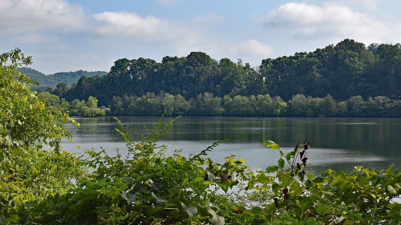melton lake on hazy day clinch river tennessee free photo