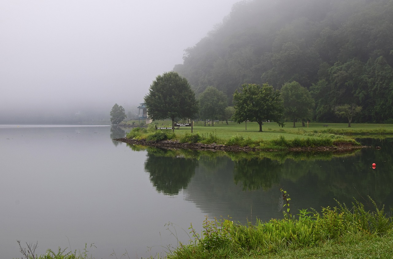 melton lake park in the fog melton lake park tennessee free photo