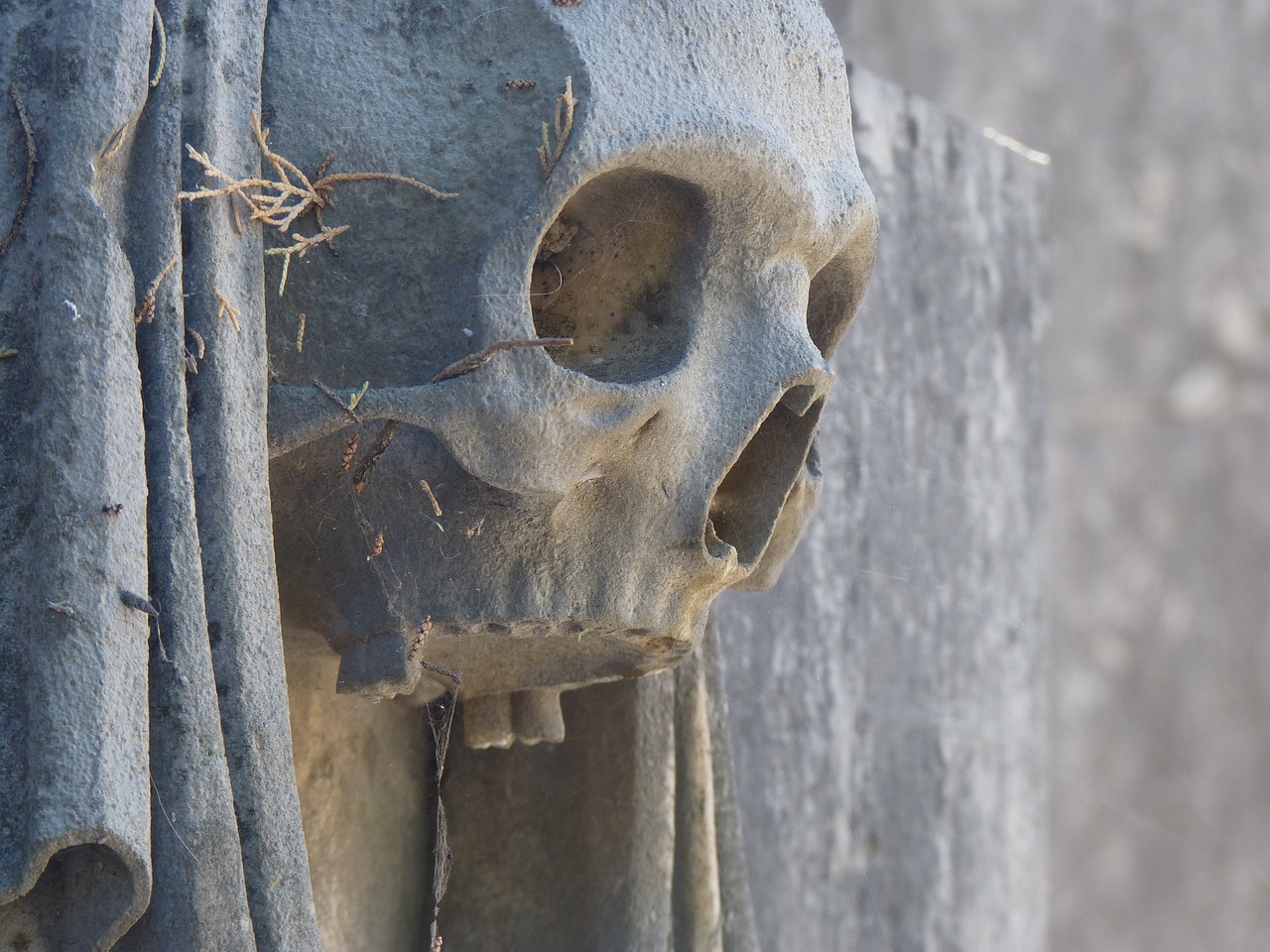 memento mori skull cemetery free photo