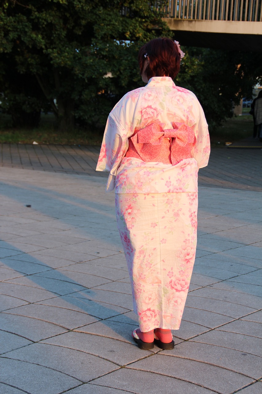 memoirs of a geisha move japan free photo