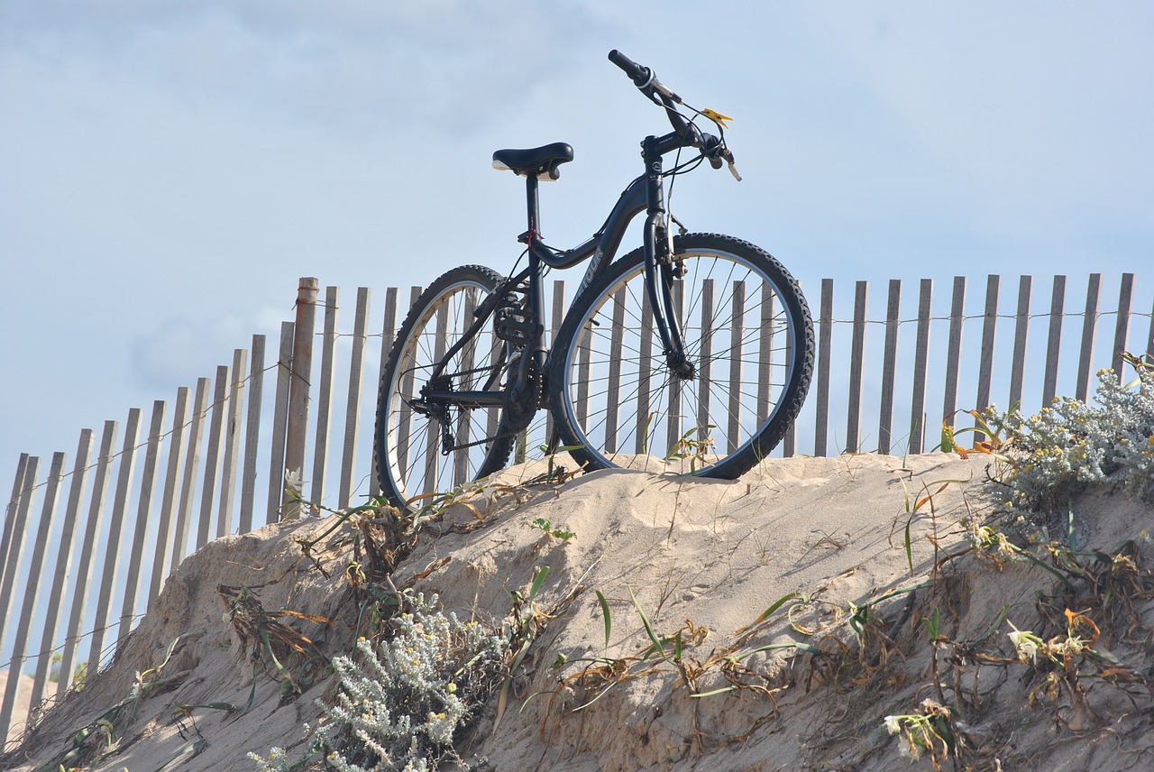 memory  bike  beach free photo