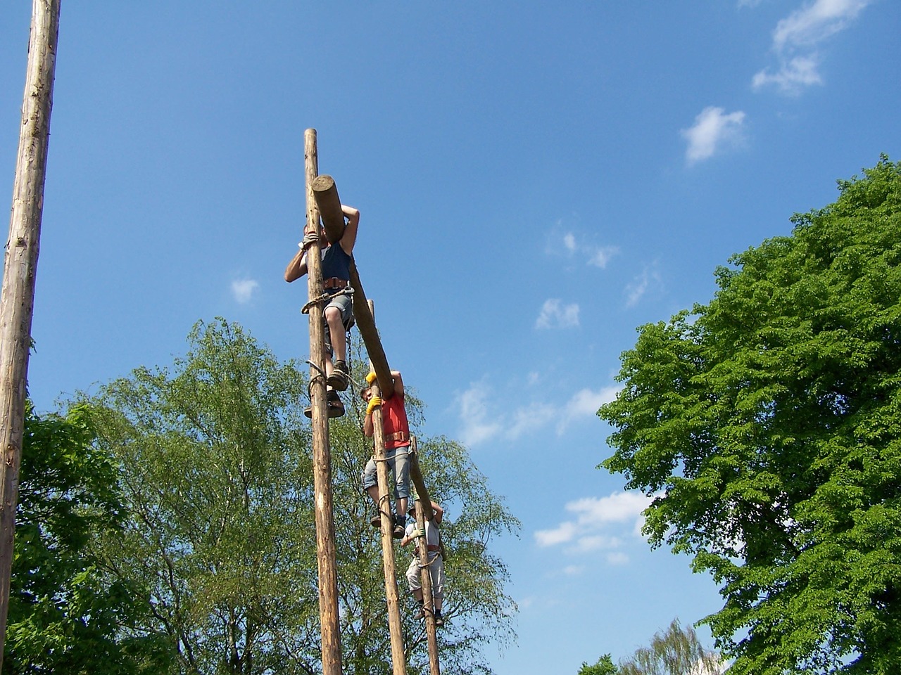 men climbing trees work free photo