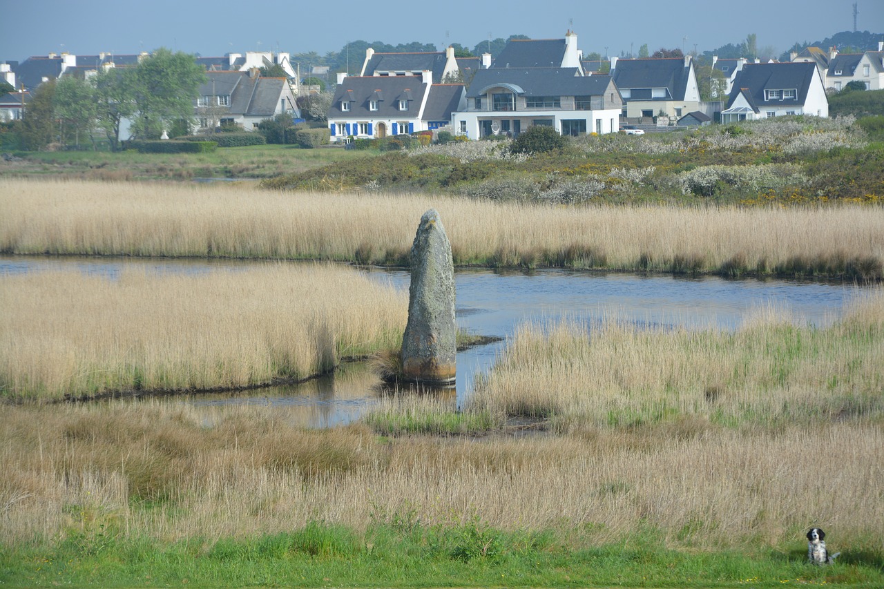 menhir rising  brittany  menhir free photo