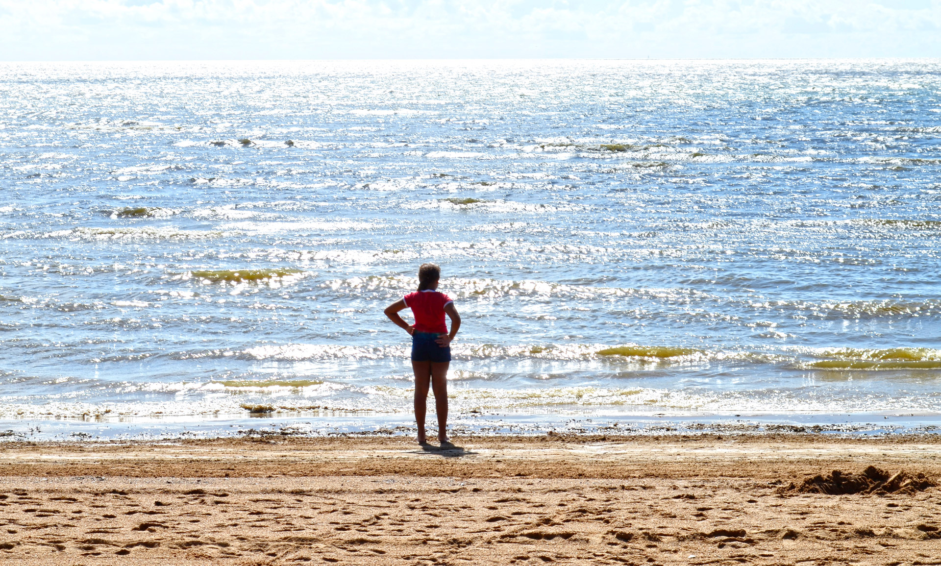 girl beach girl on the beach free photo