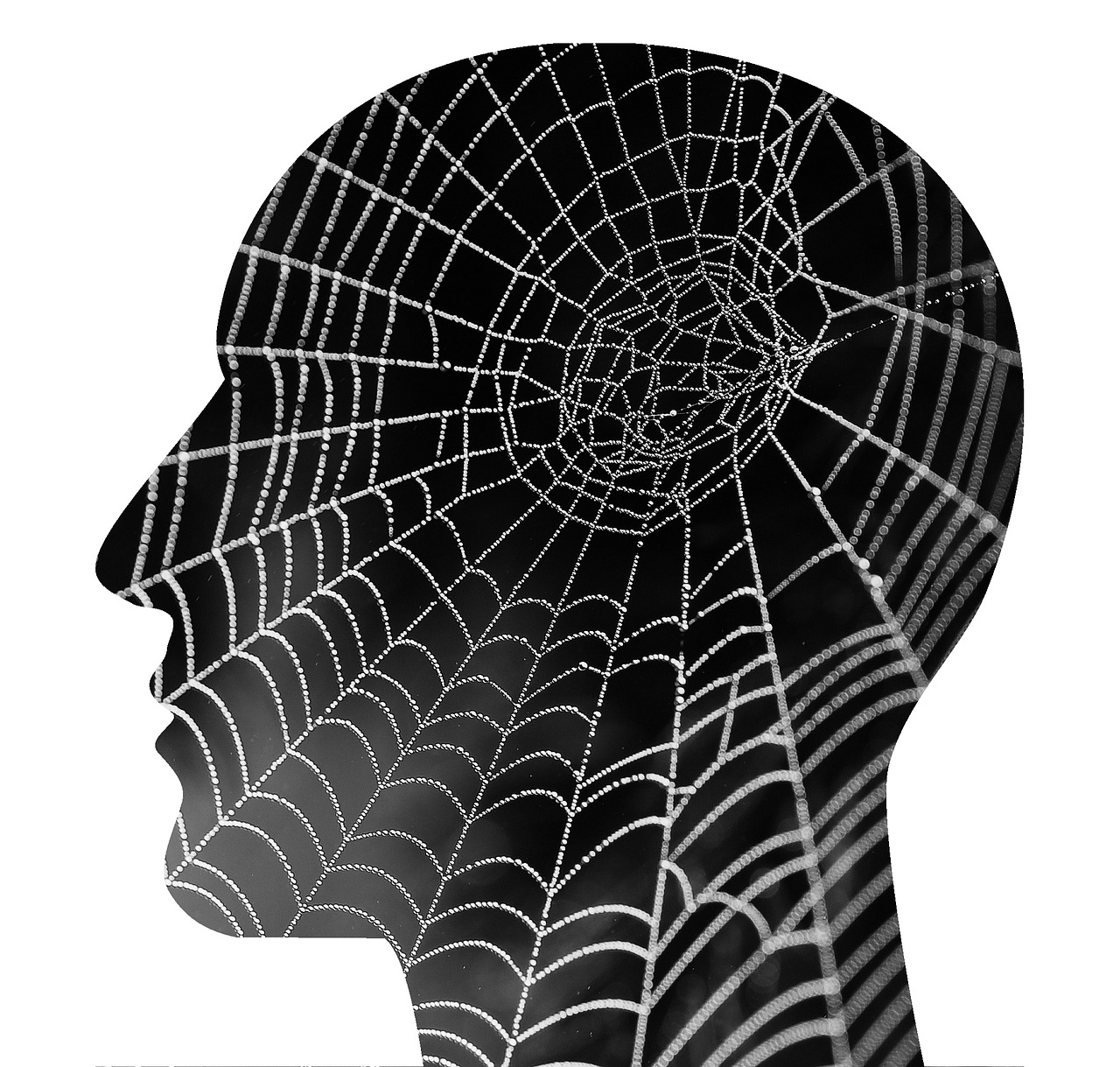 mental health spider web psychology free photo