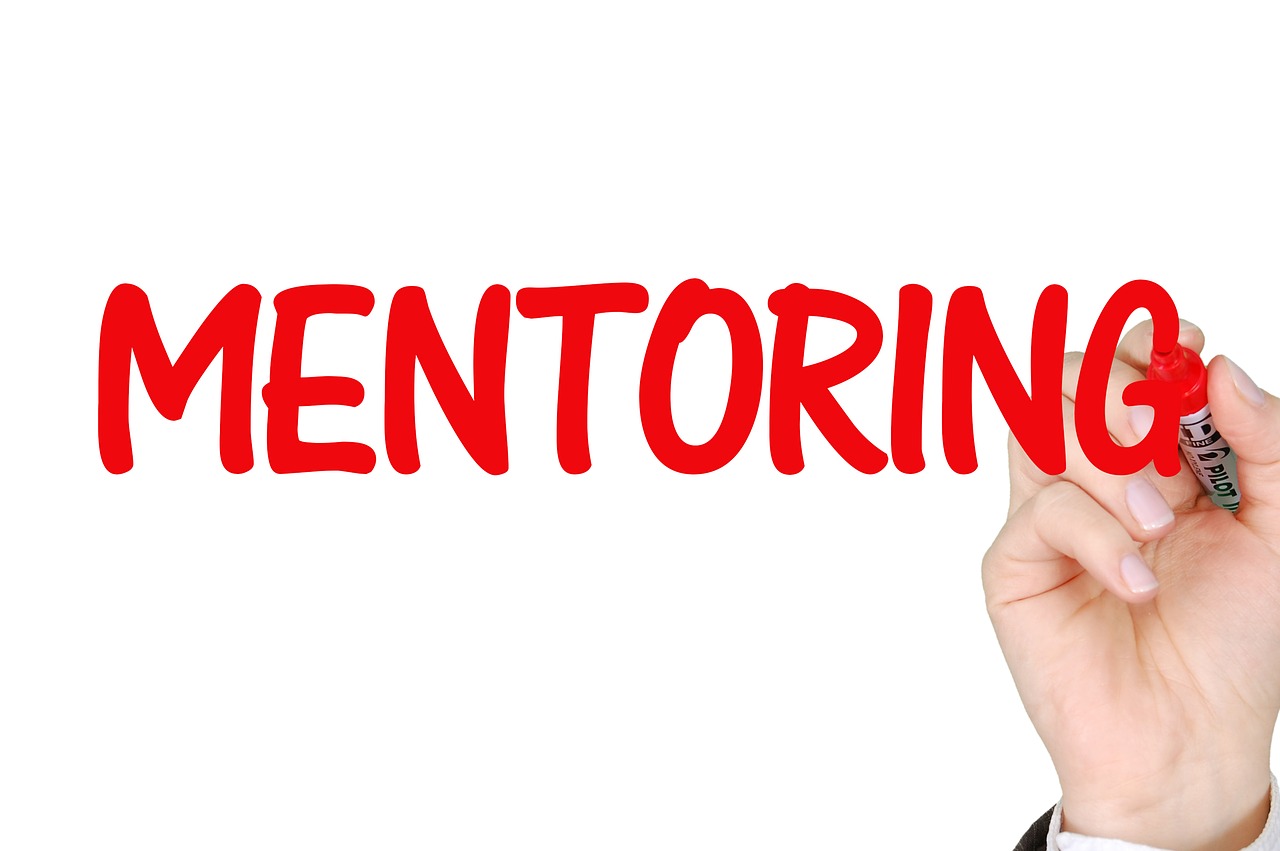 mentoring business success free photo