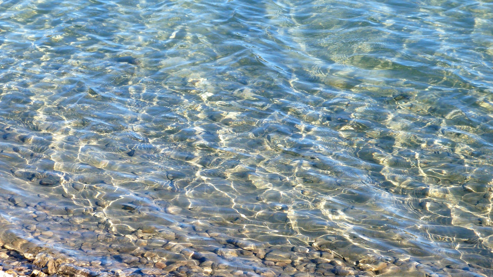 sea shingle beach free photo