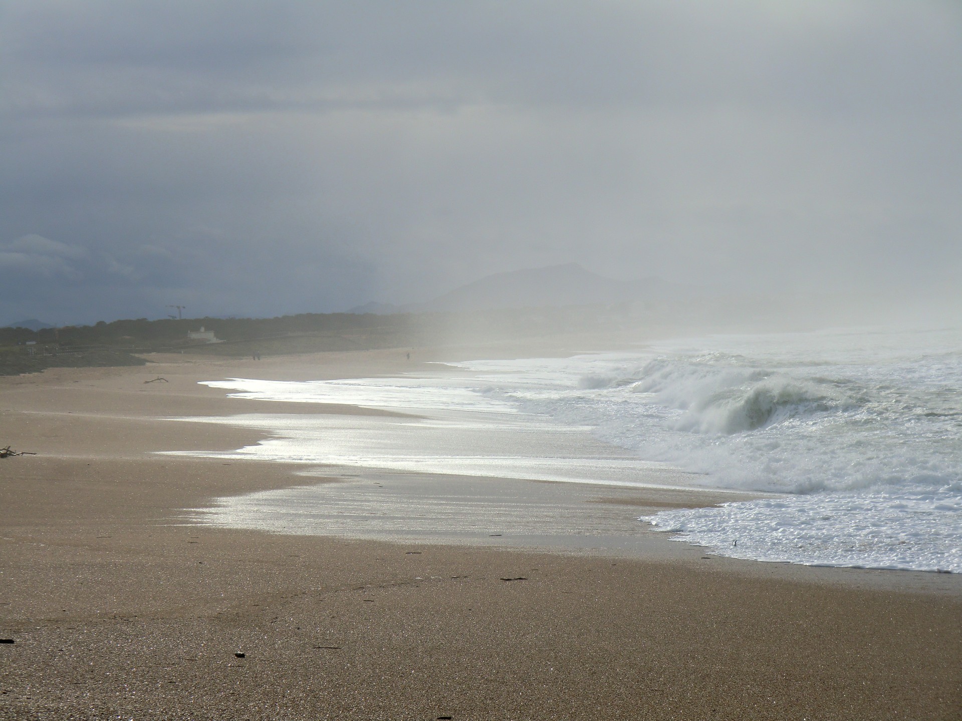 sea beach sky free photo