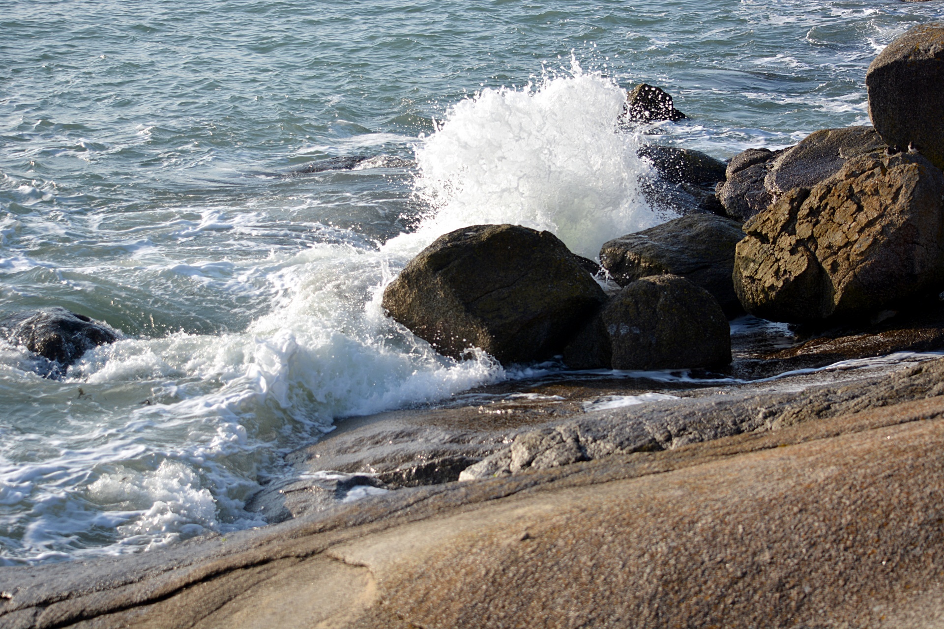 sea waves ocean free photo