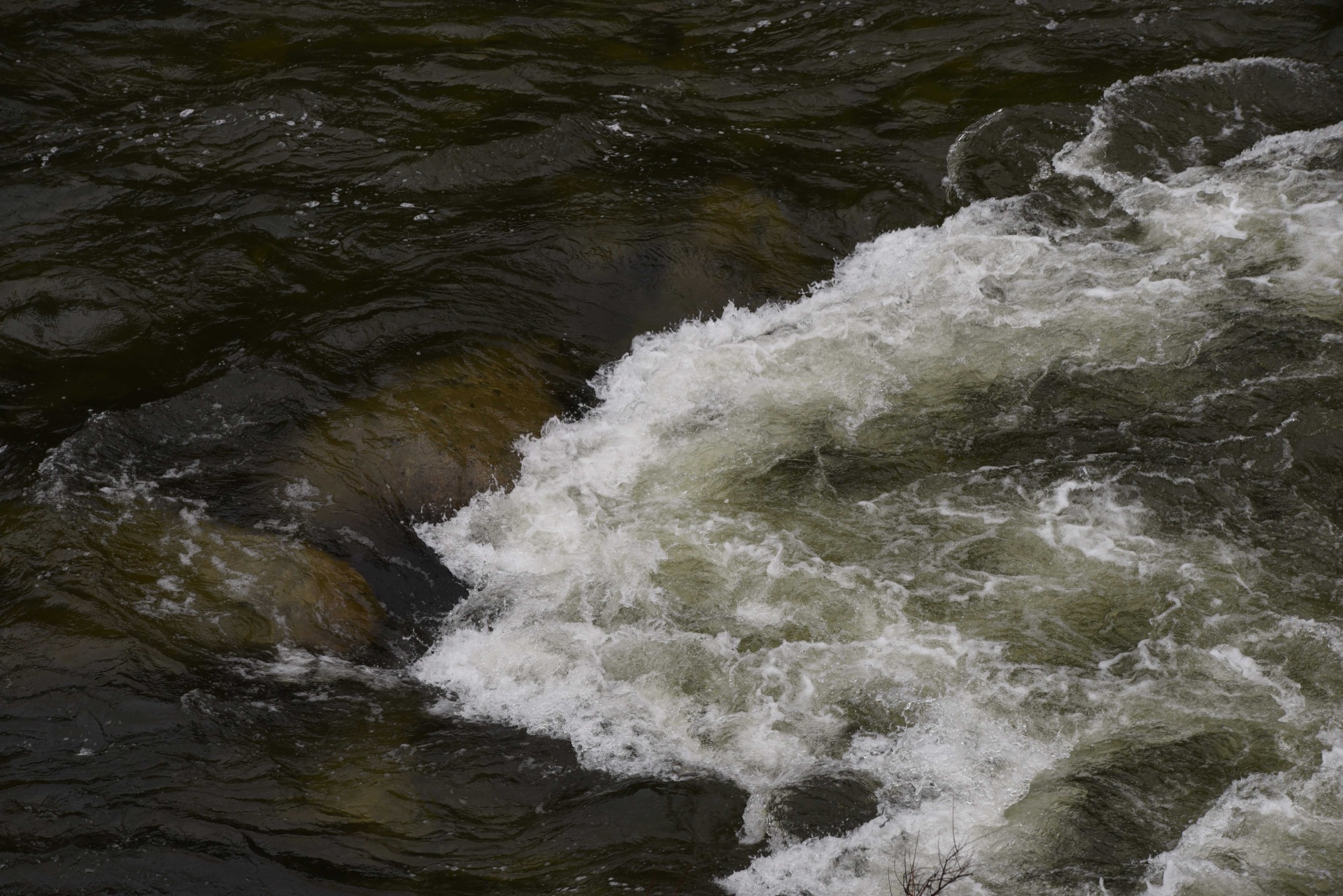 river merced rapids free photo