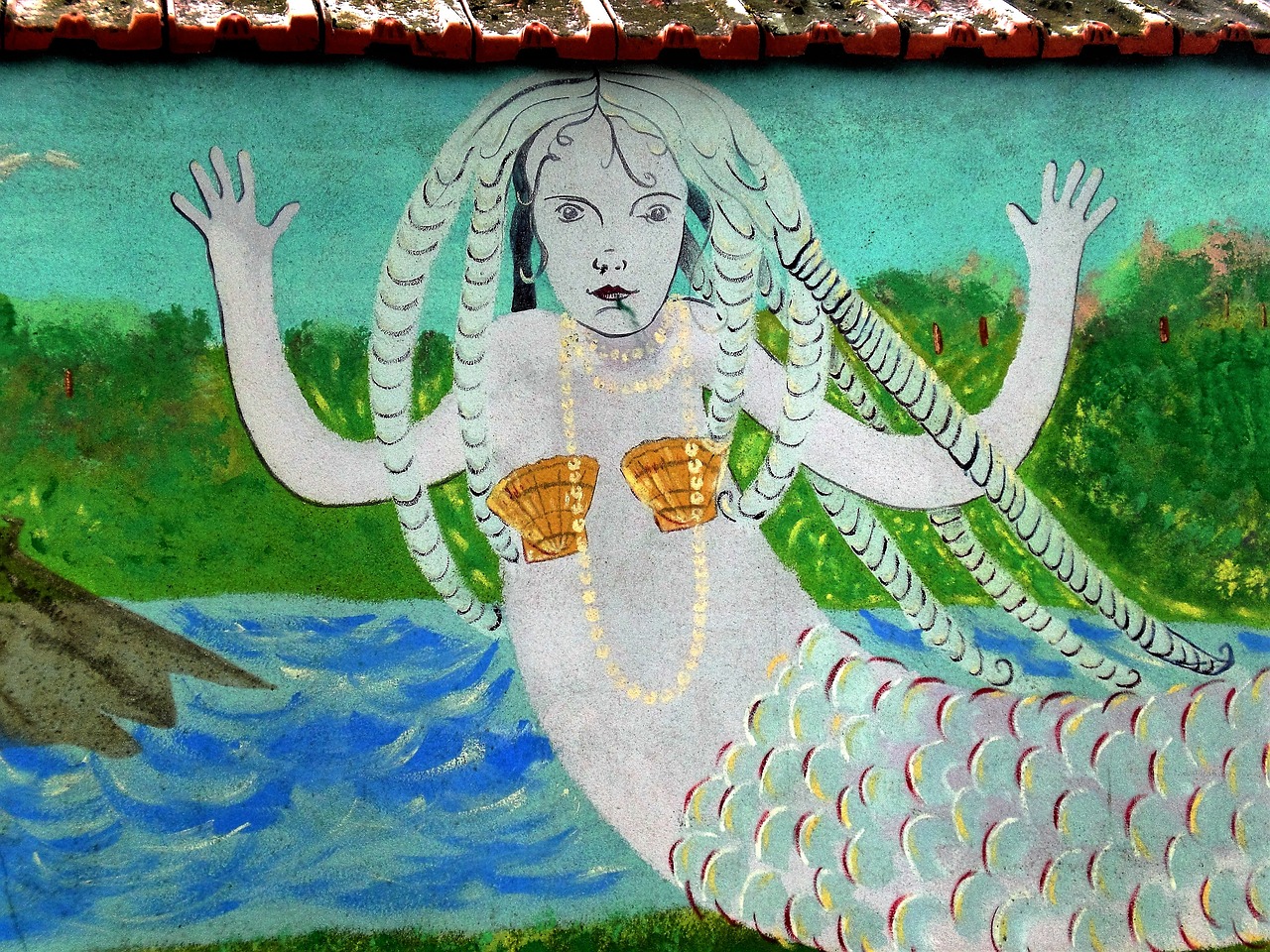 mermaid woman bikini free photo