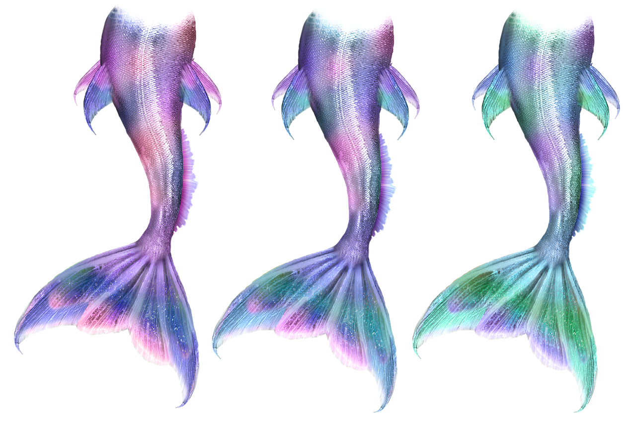 mermaid merman merfolk free photo
