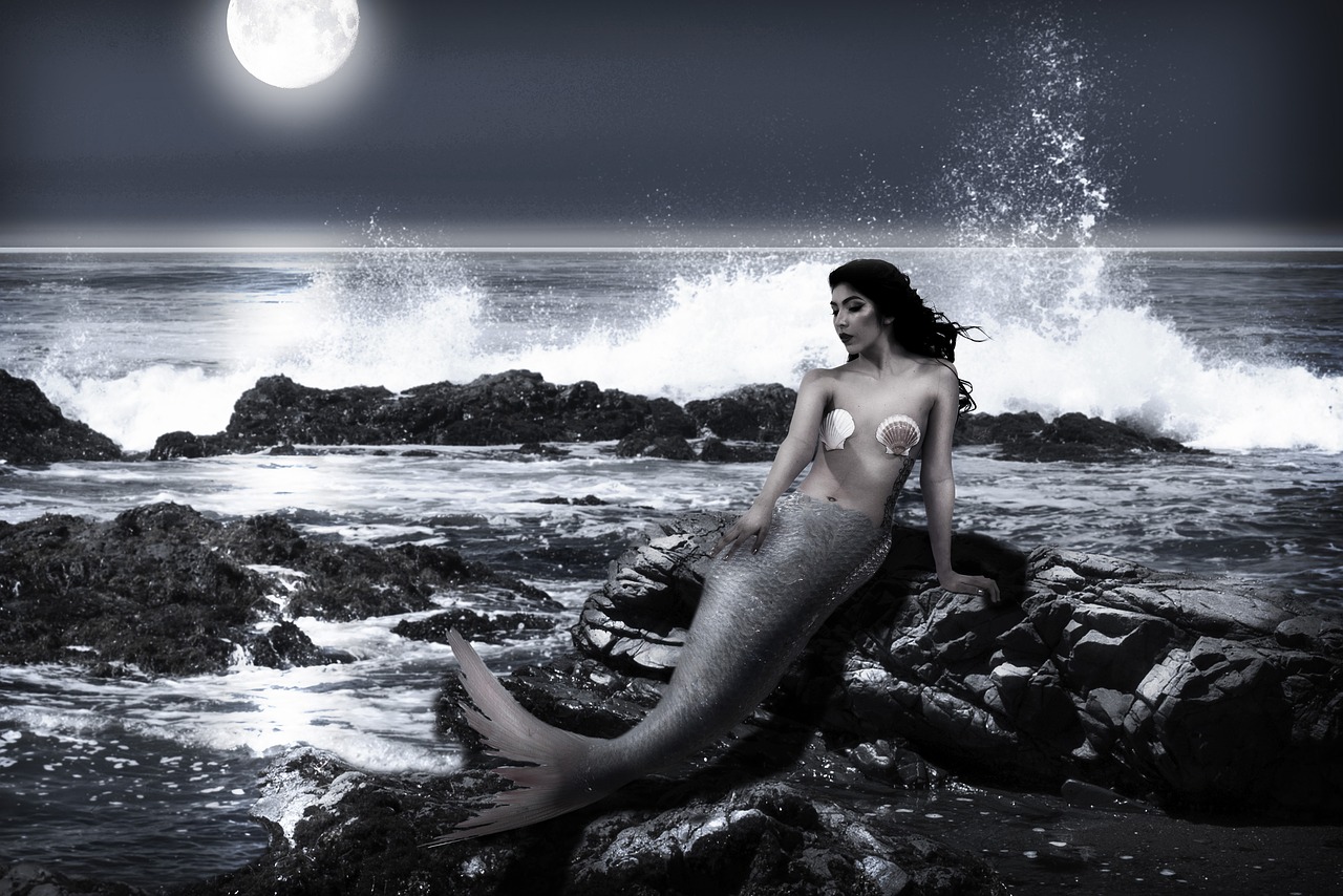 mermaid  moon  ocean free photo