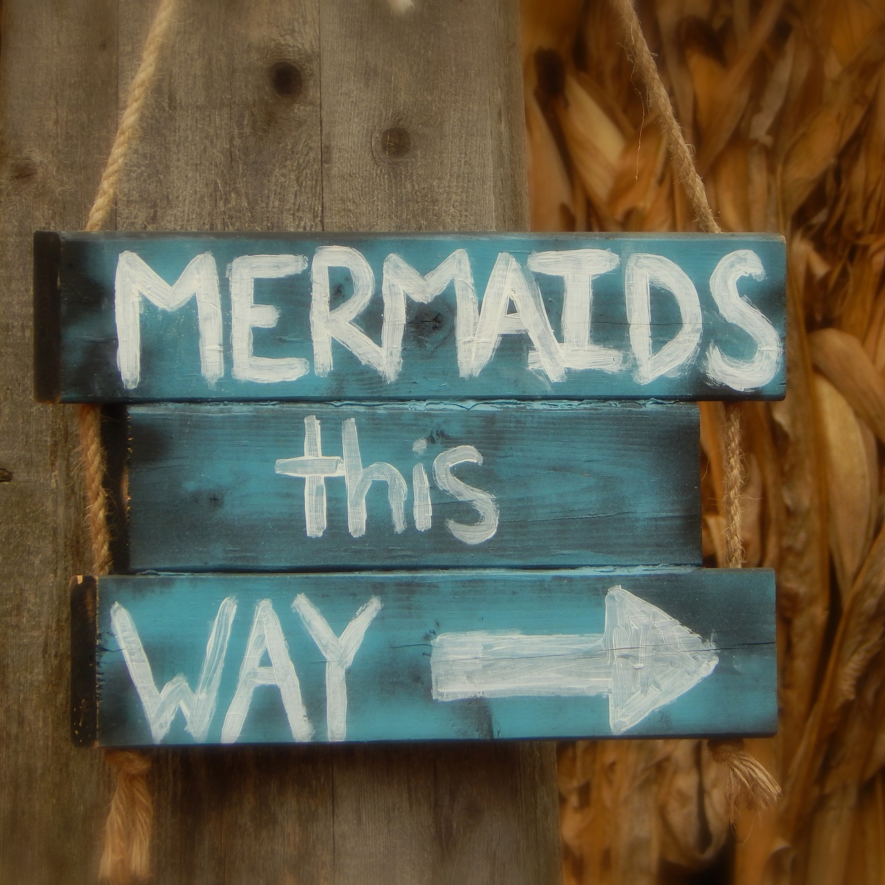 mermaids sign whimsical free photo