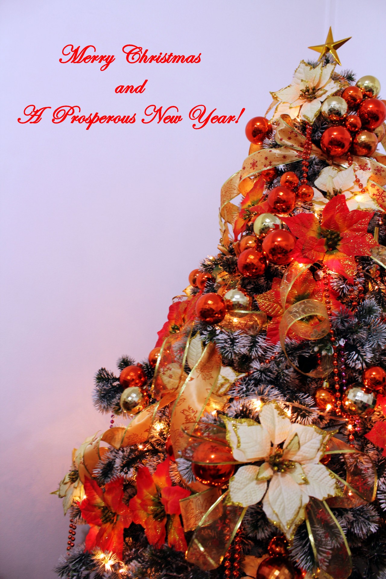 christmas decoration merry christmas greetings free photo