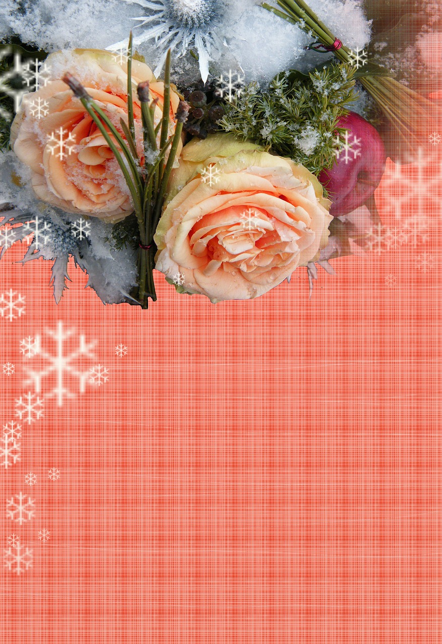 merry christmas greeting card background free photo