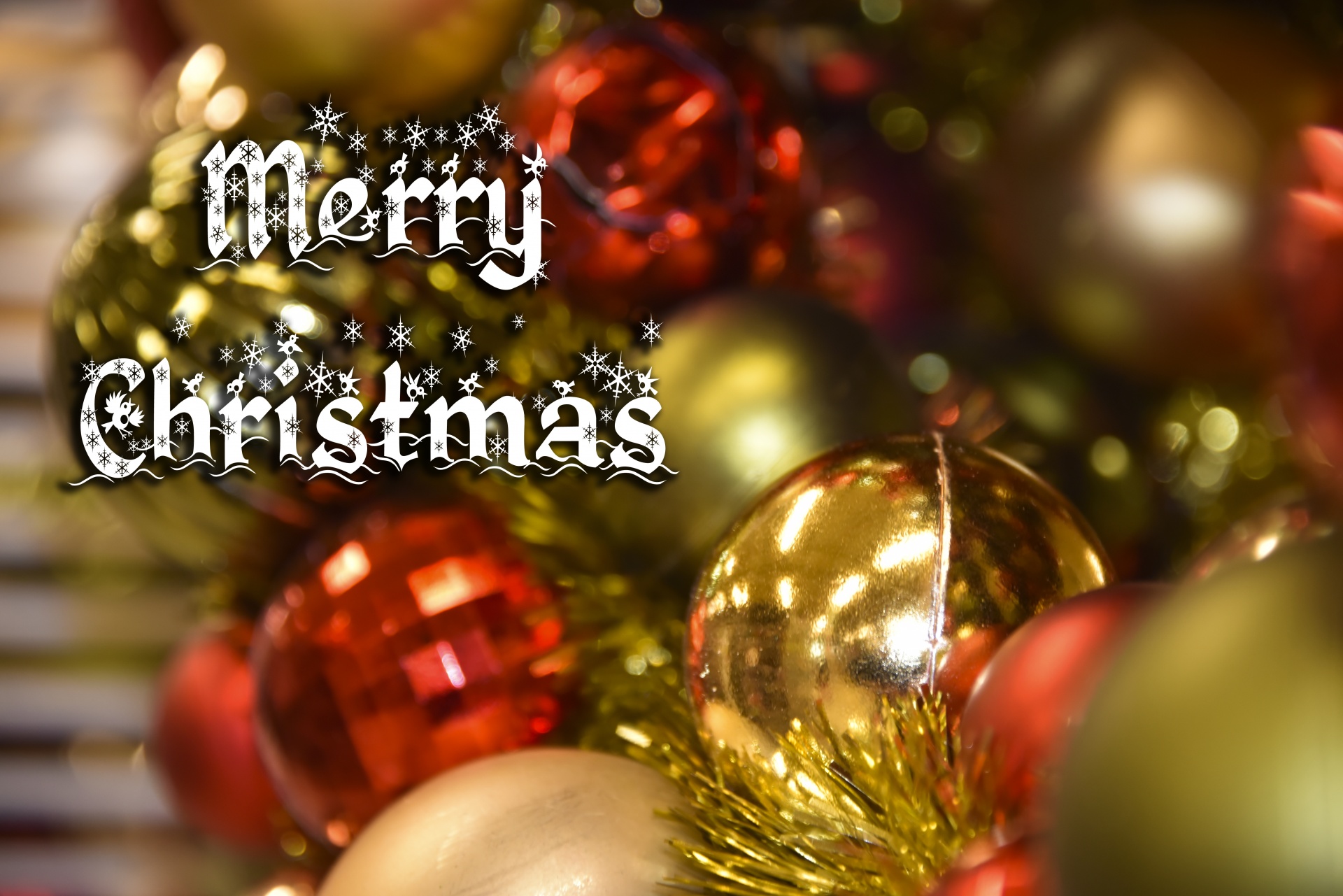 merry christmas greeting free photo