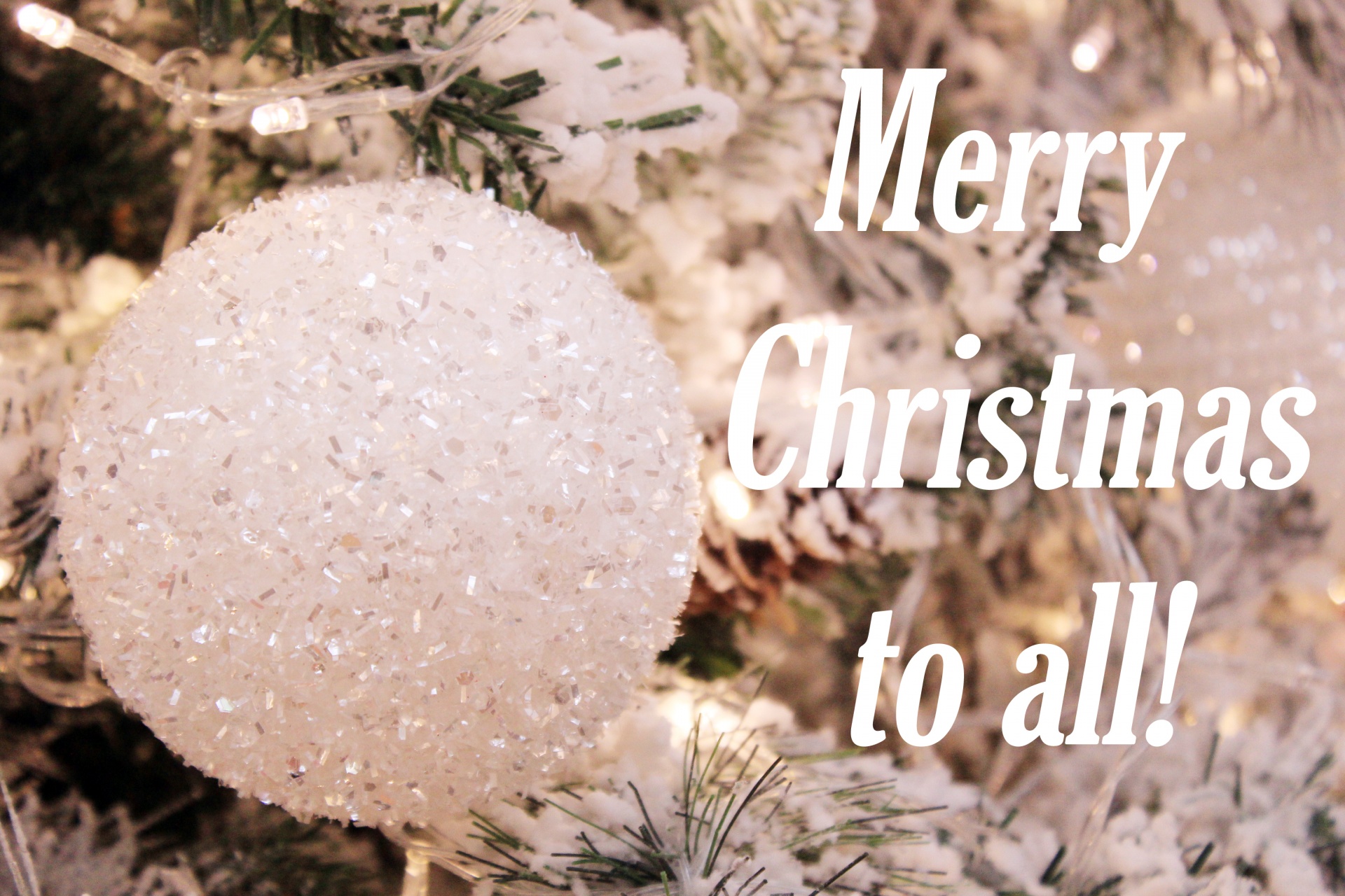 merry christmas to all christmas message christmas greetings free photo