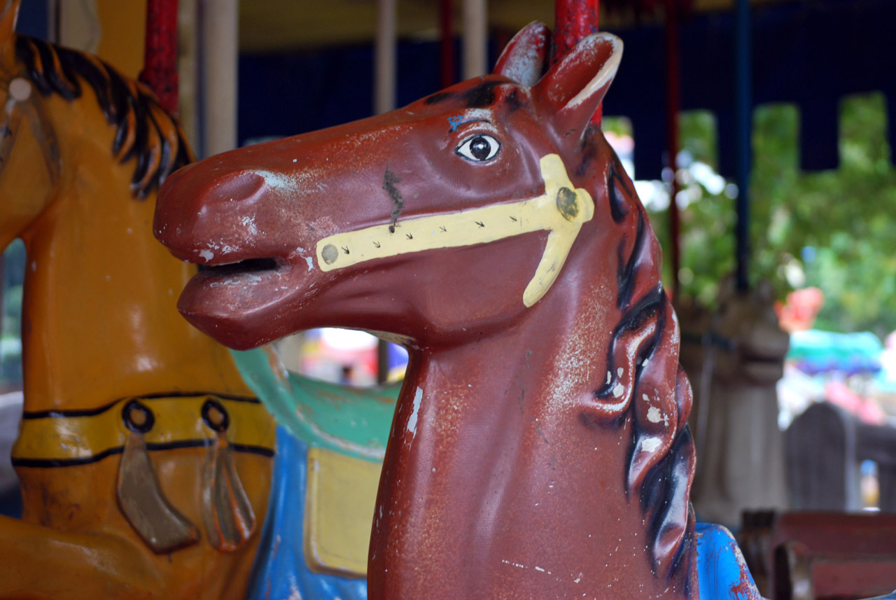 merry-go-round carousel carrousel free photo