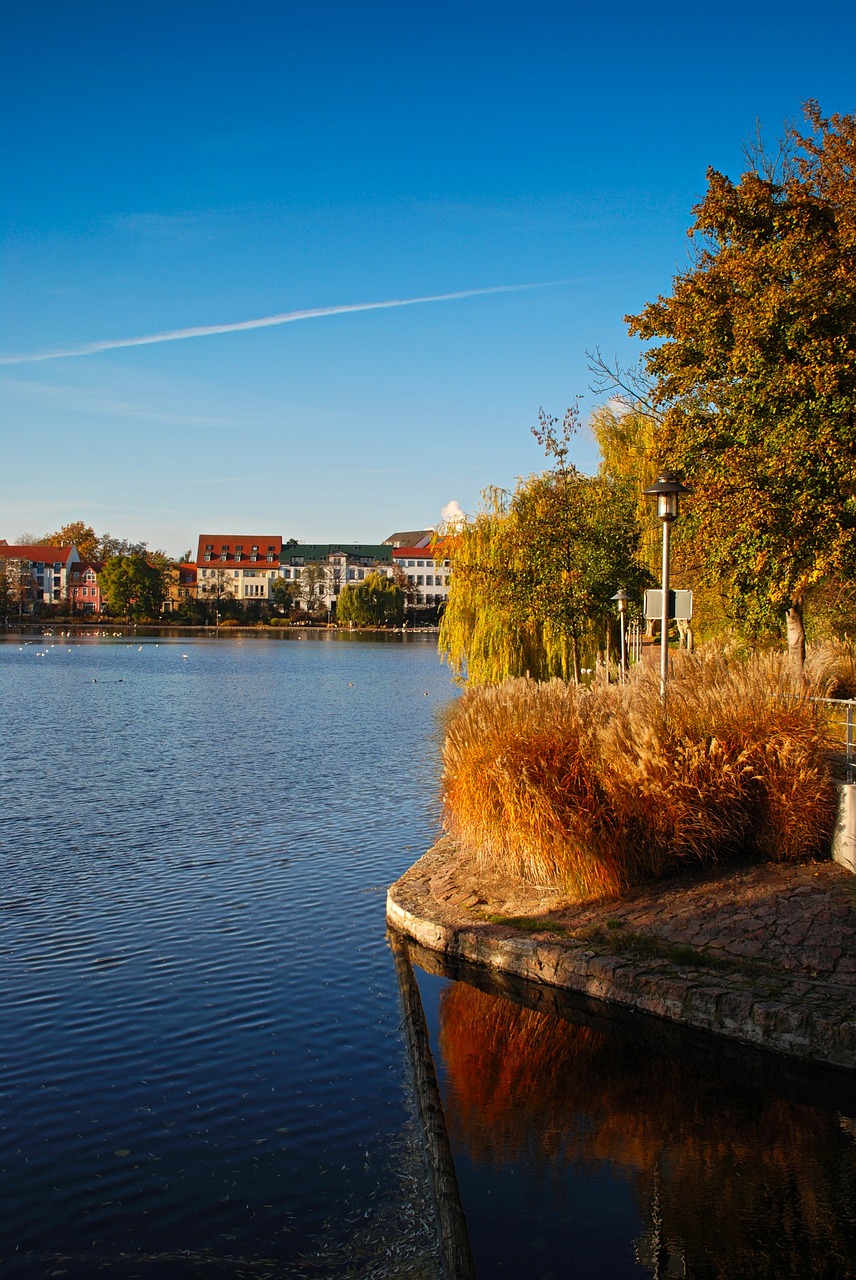 merseburg  gotthard pond  water free photo