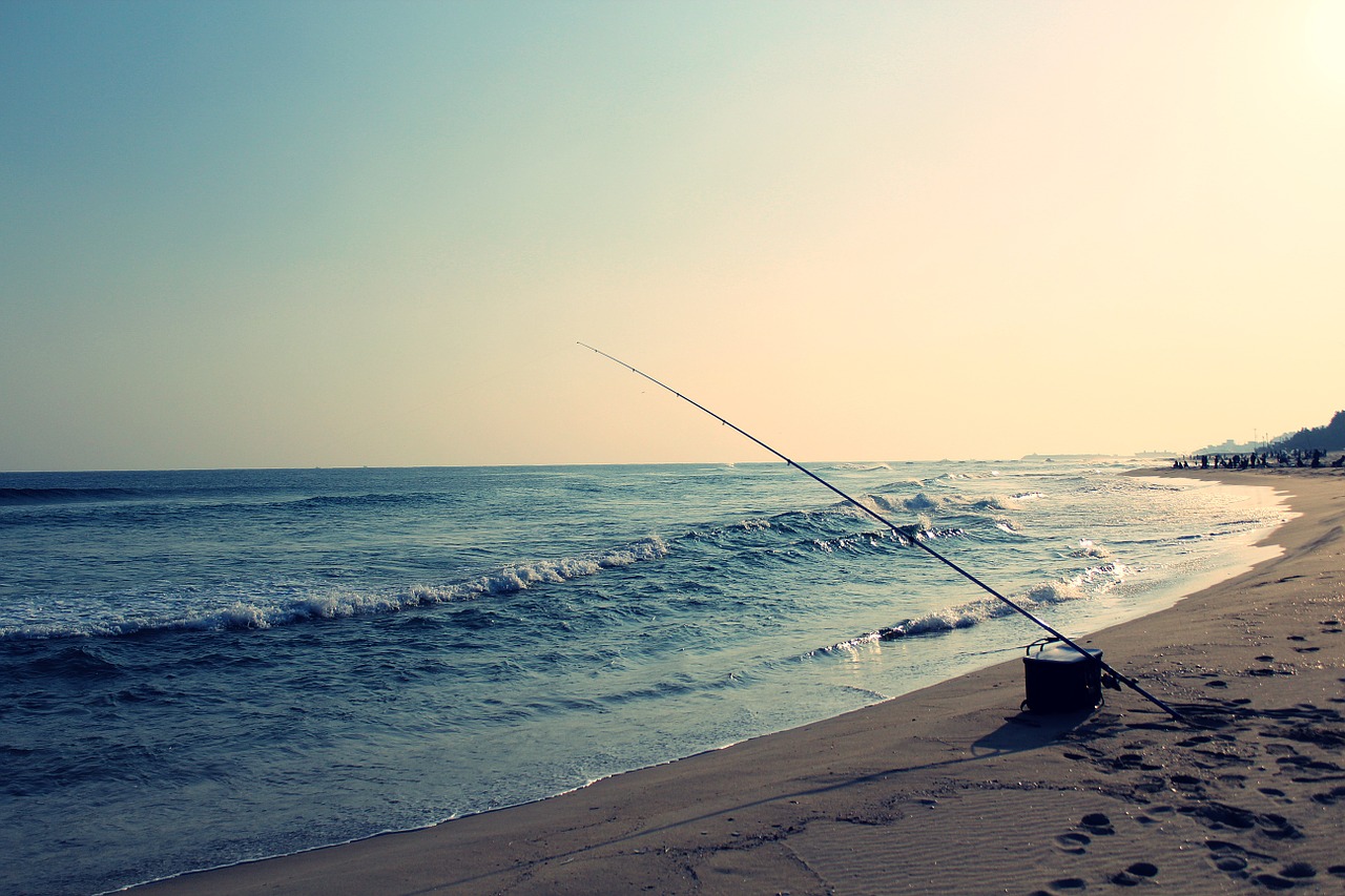 mesh beach sea republic of korea free photo