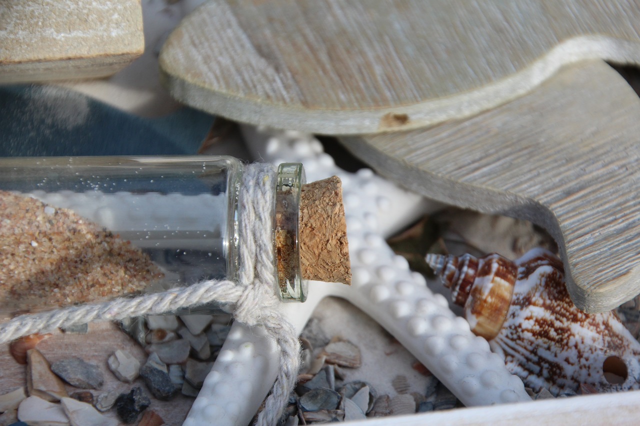 message in a bottle starfish mussels free photo