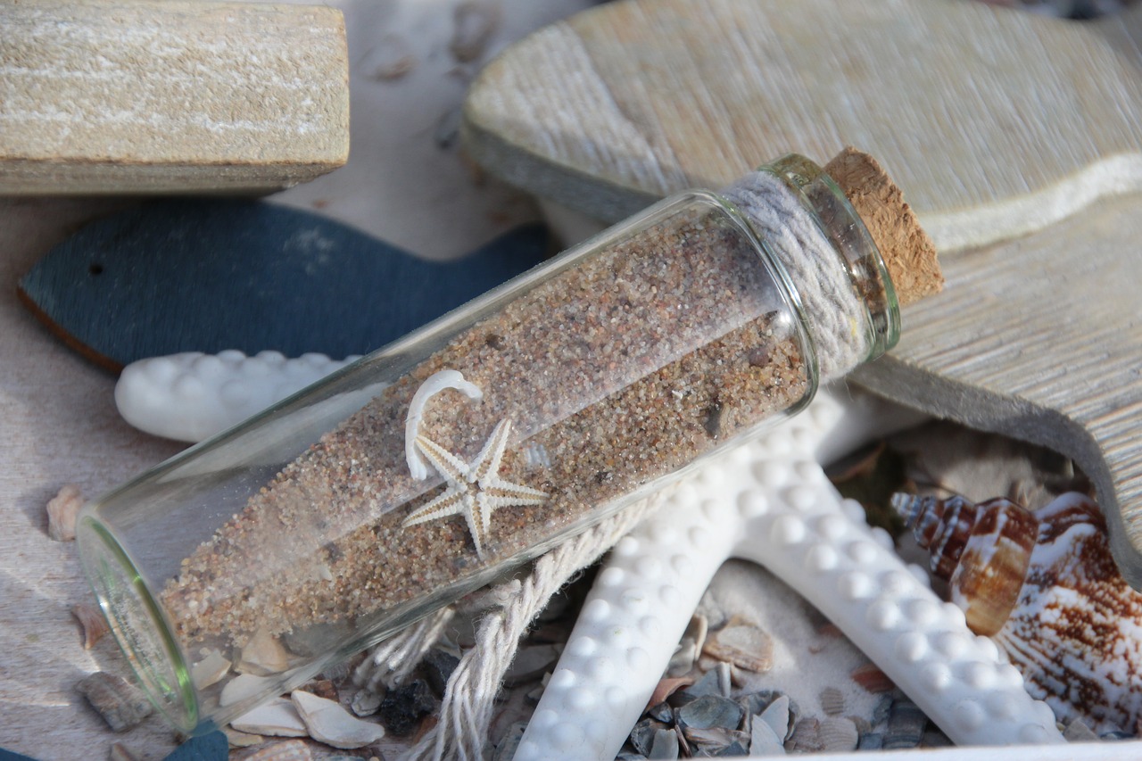 message in a bottle starfish mussels free photo