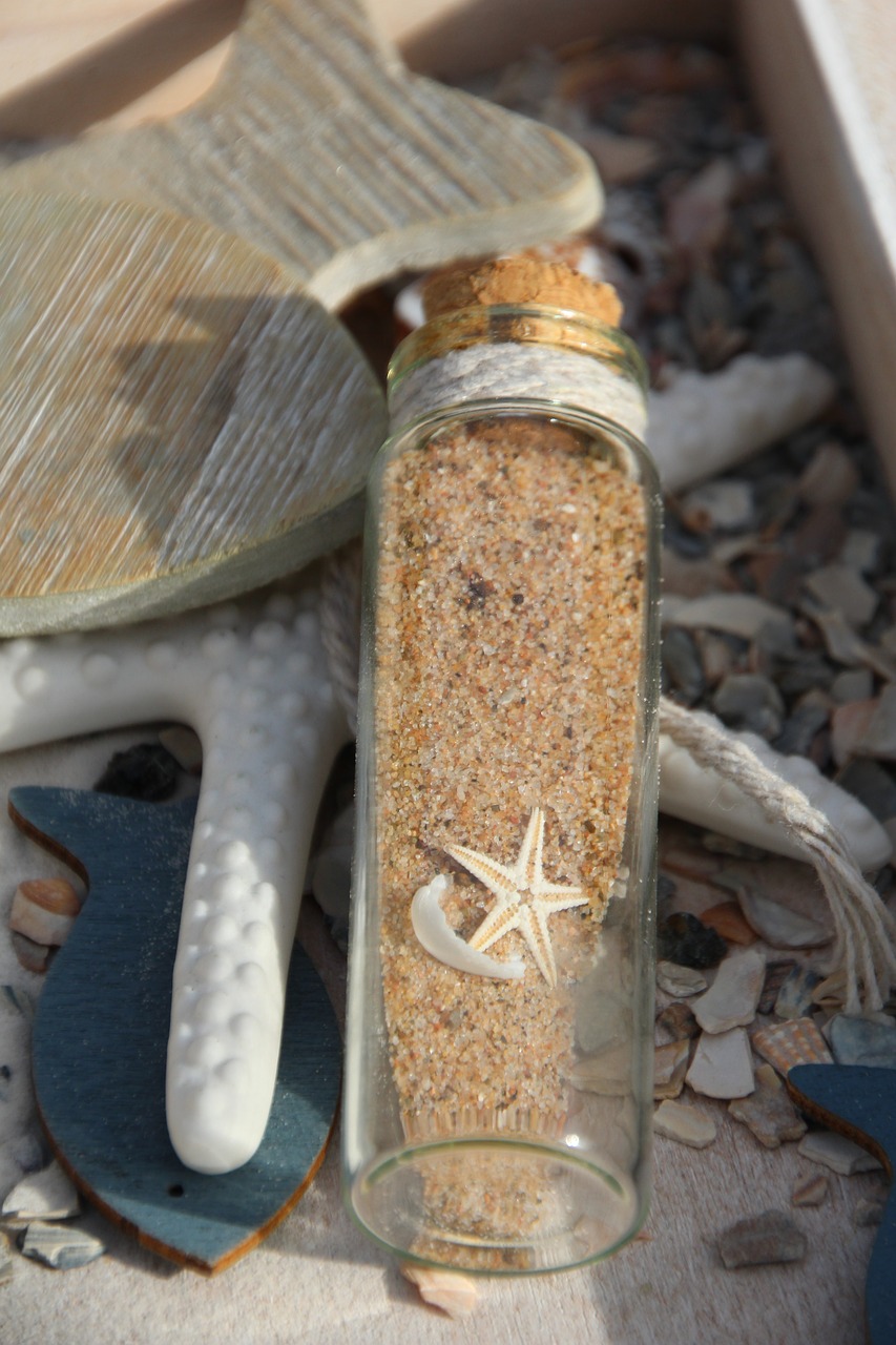 message in a bottle starfish mussels free photo