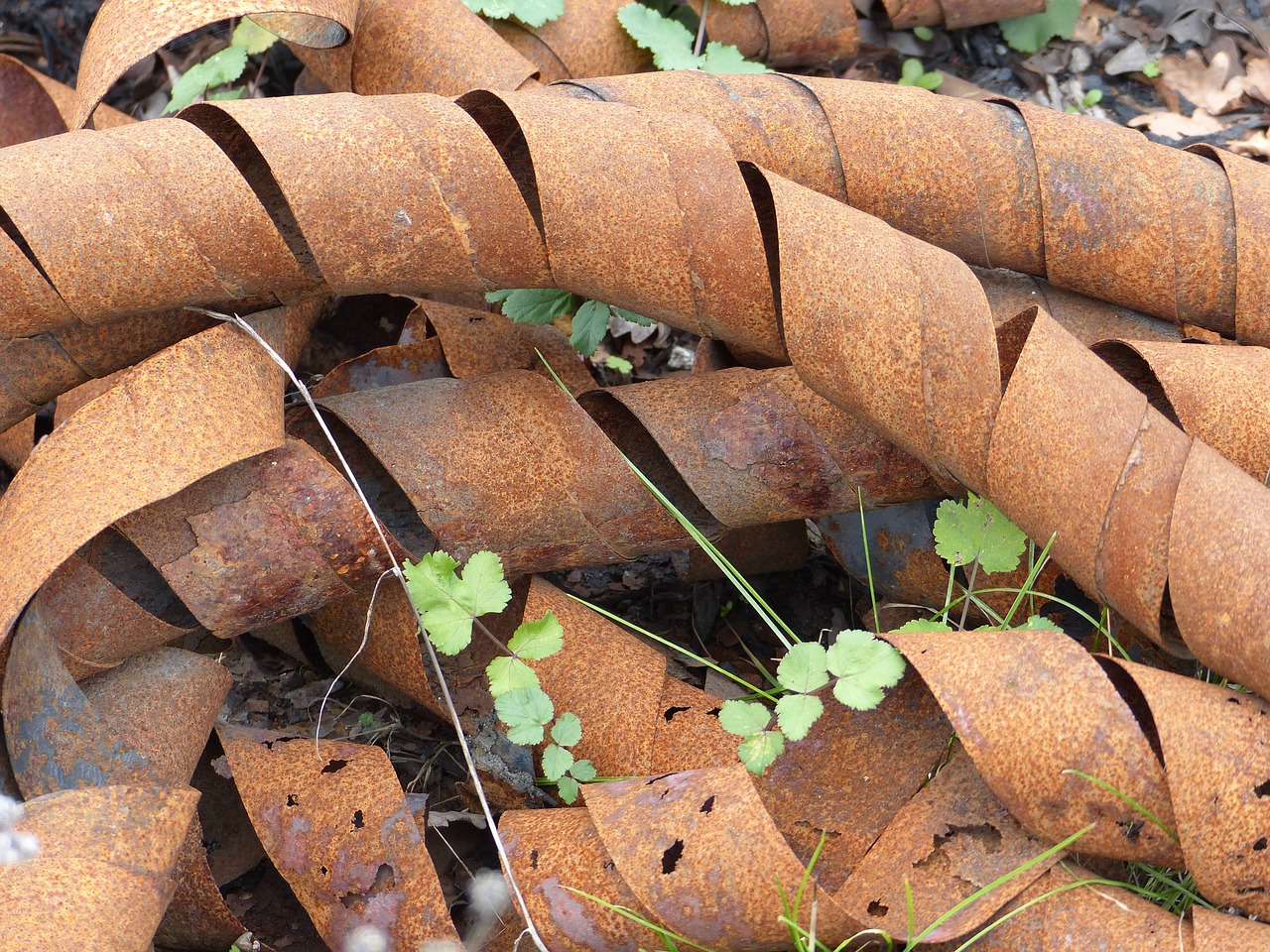 metal waste springs free photo