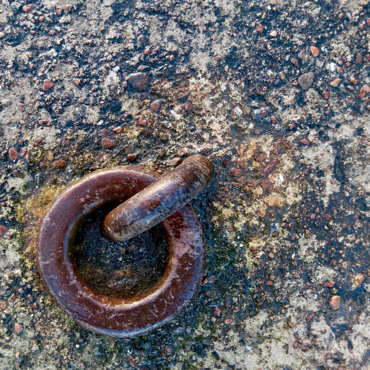 metal ring rust free photo