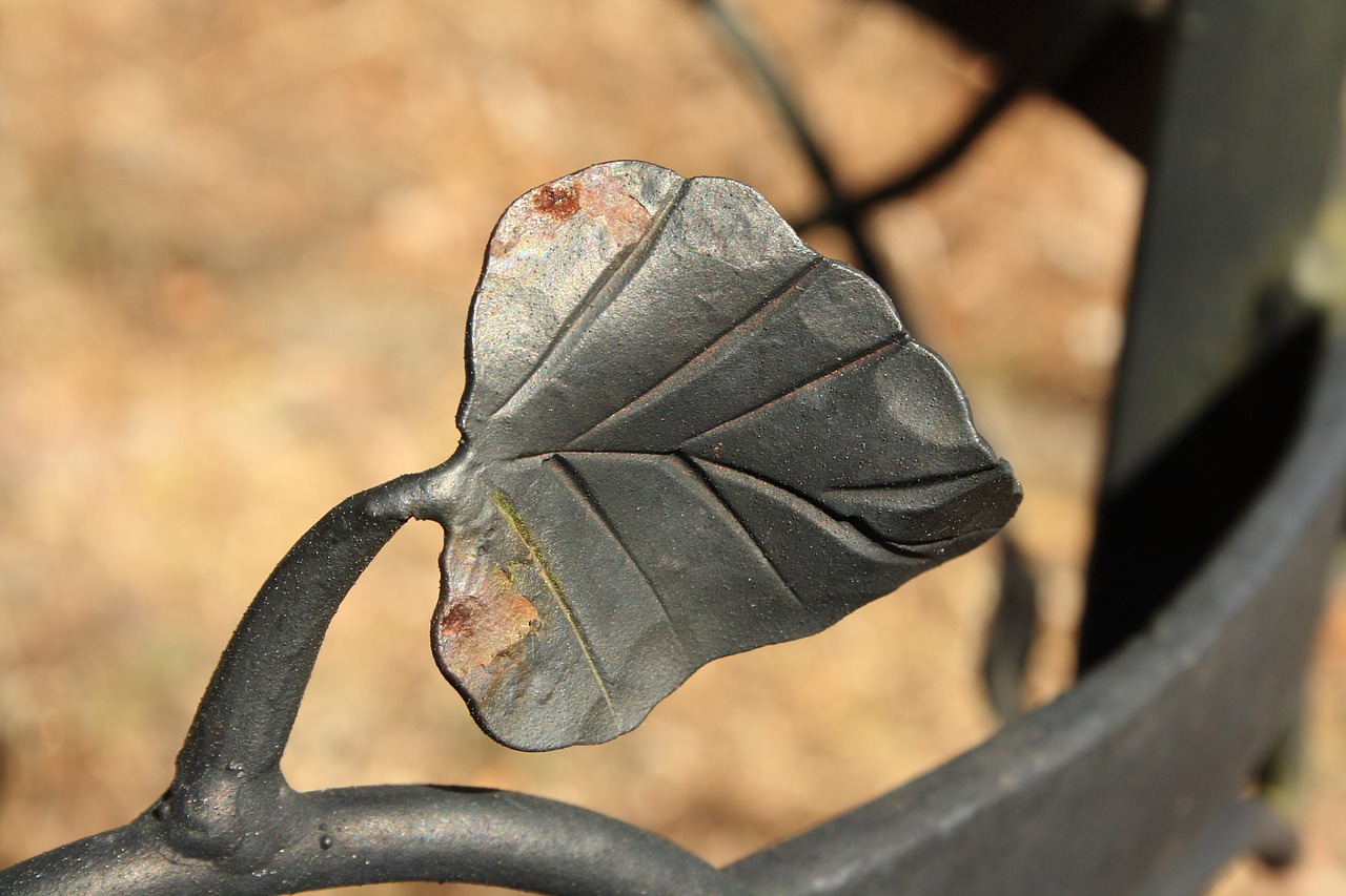 metal leaf rust free photo