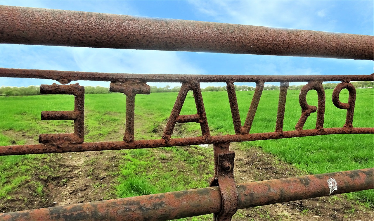 metal gate  wood  nature free photo