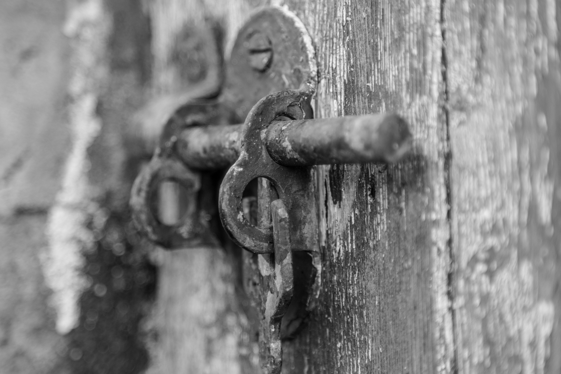 metallic latch door free photo