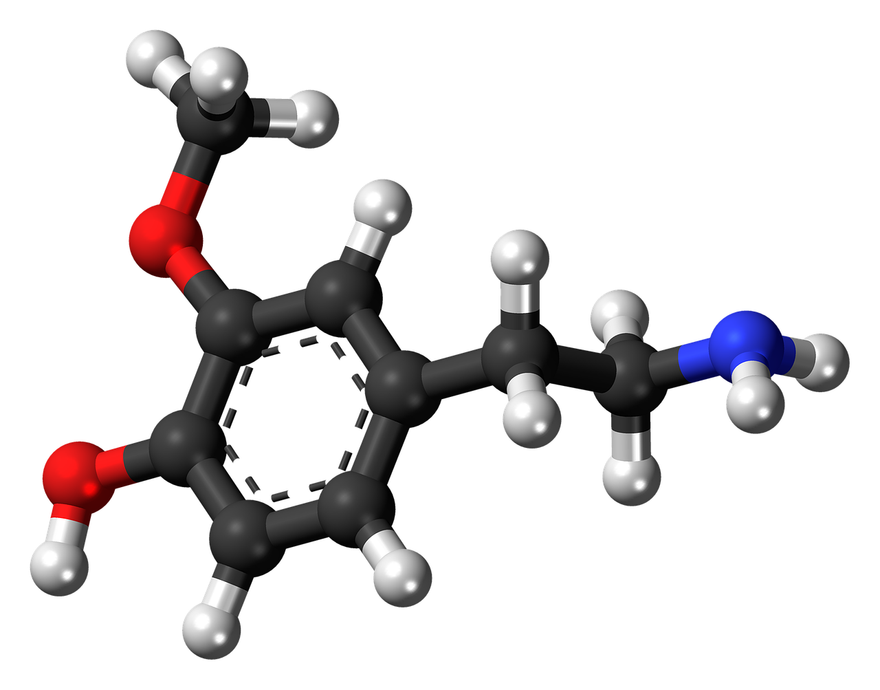 methoxytyramine molecule chemistry free photo