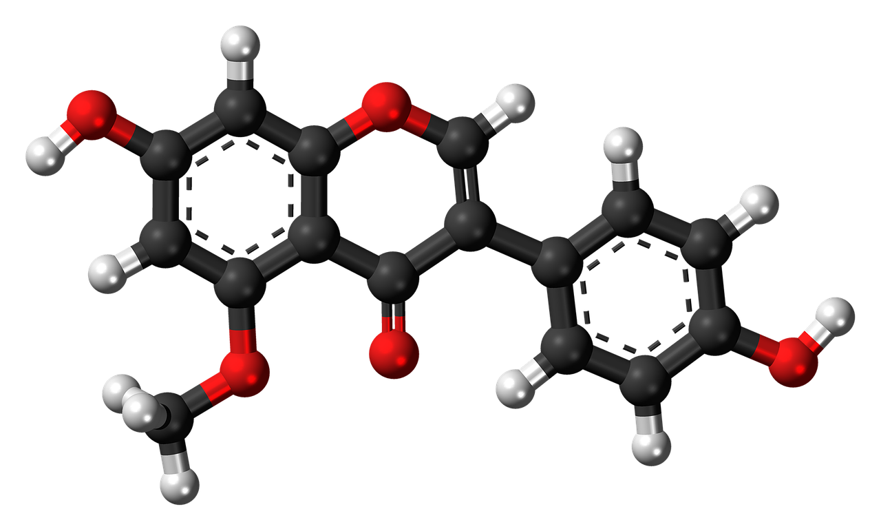 methylgenistein molecule model free photo