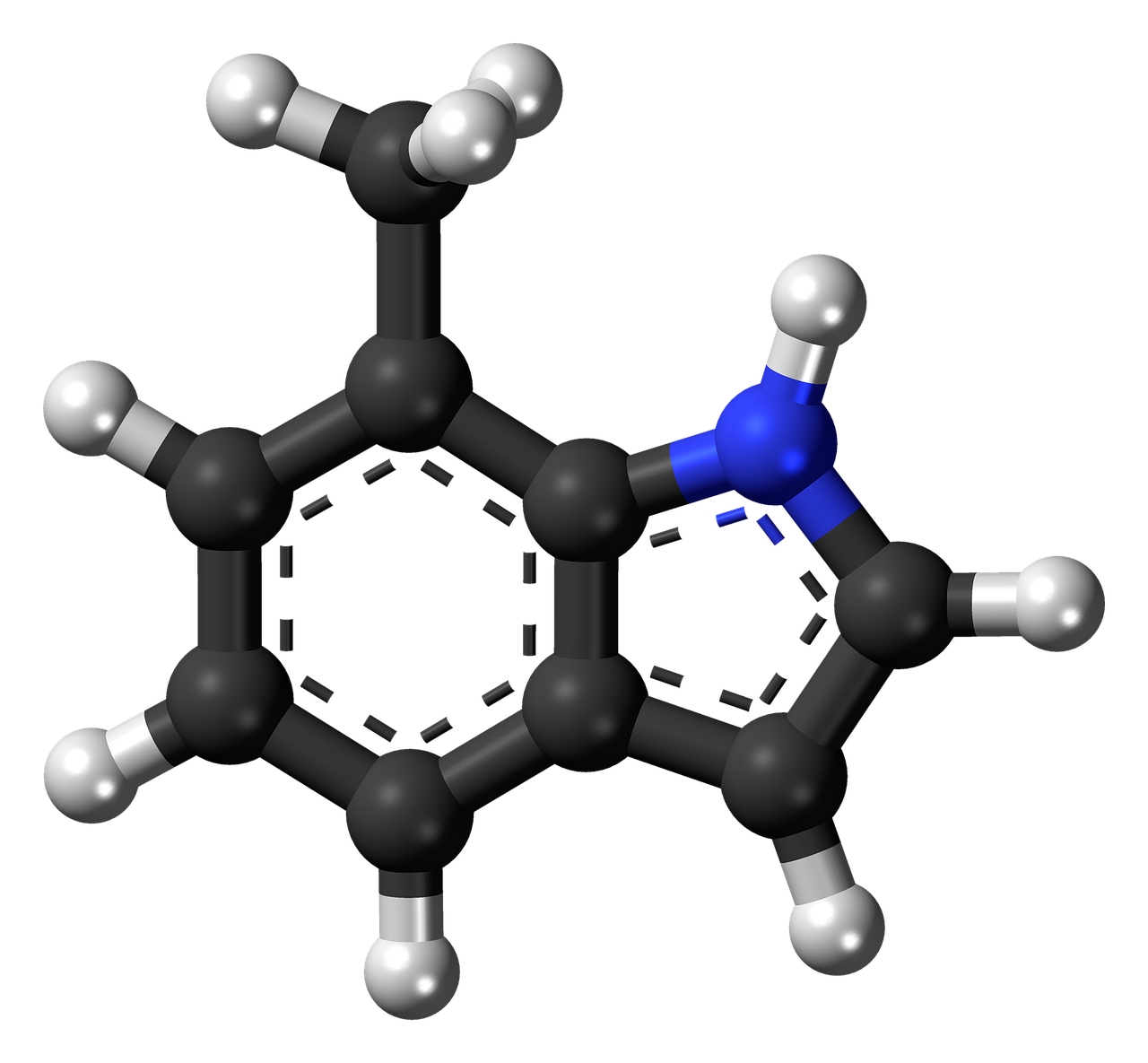 methylindole molecule model free photo