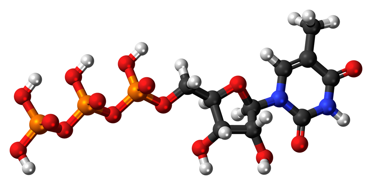 methyluridine triphosphate nucleotide molecule free photo