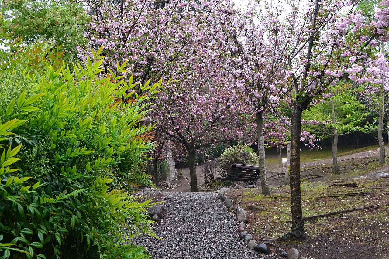 metropolitan park santiago san cristobal hill free photo