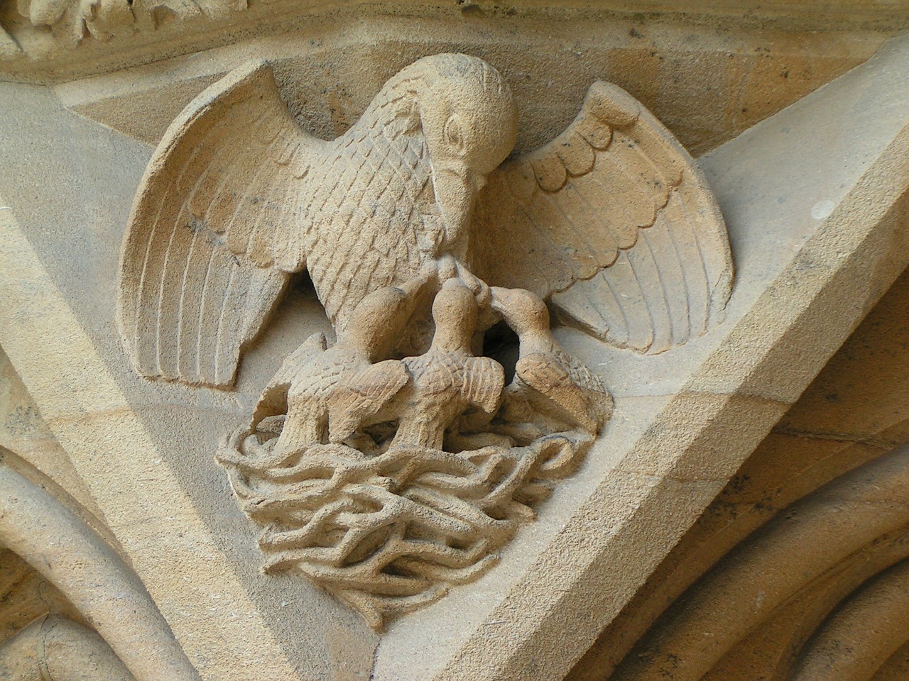 metz cathedral pelican free photo