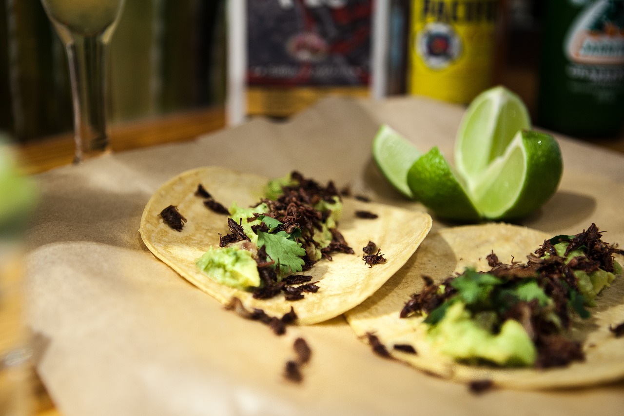 mexican tortilla cilantro free photo